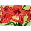 Skilledpower Flower - Amaryllis Mouse Pad; Hot Pad Or Trivet SK236013